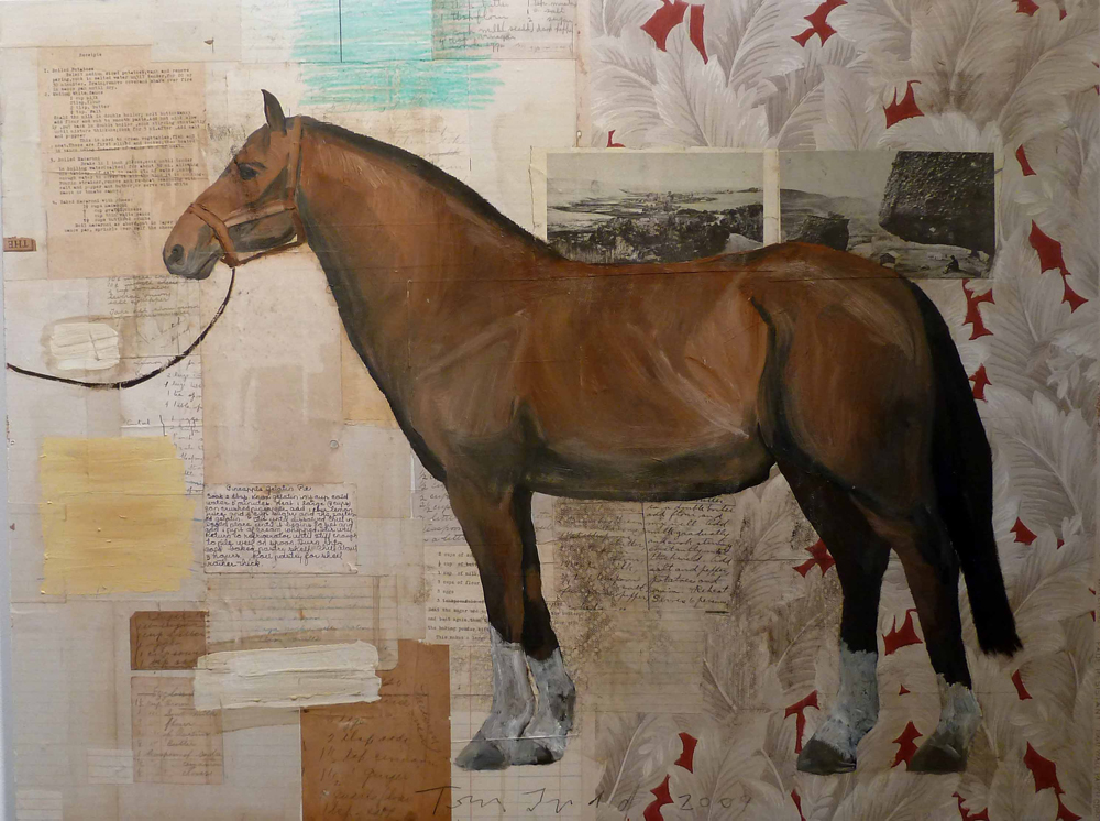 Horse Feathered